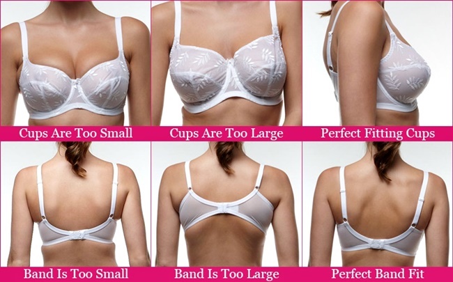 Here's How To Choose The Best Bra For Your Specific Shape