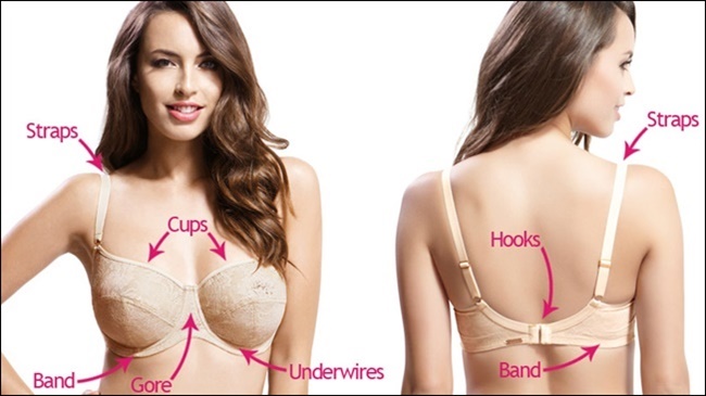 How To Pick The Perfect Everyday Bra, There's a perfect bra for everyone  out there, use this video as a guide to find your right bra!, By Glamrs