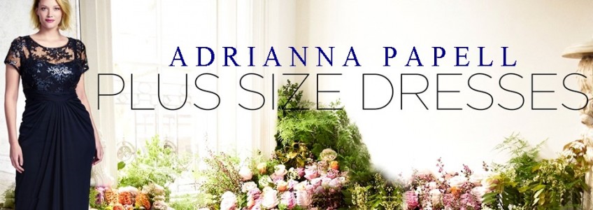 Plus Size Wedding Guest Dresses from Adrianna Papell - With Wonder and  Whimsy